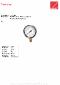 Manometer 113-.DE 0 til 1,6 bar G 1/4